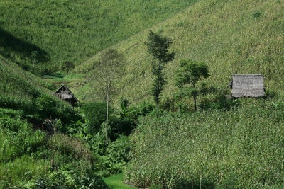 hill tribes in thailand