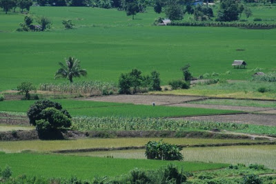 life in hill tribe thailand