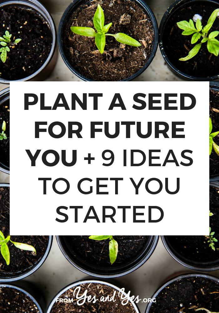 Planting seeds for future you is one of the best self-development, self-care tips out there. Click through for tips on maintaining motivation and productivity!